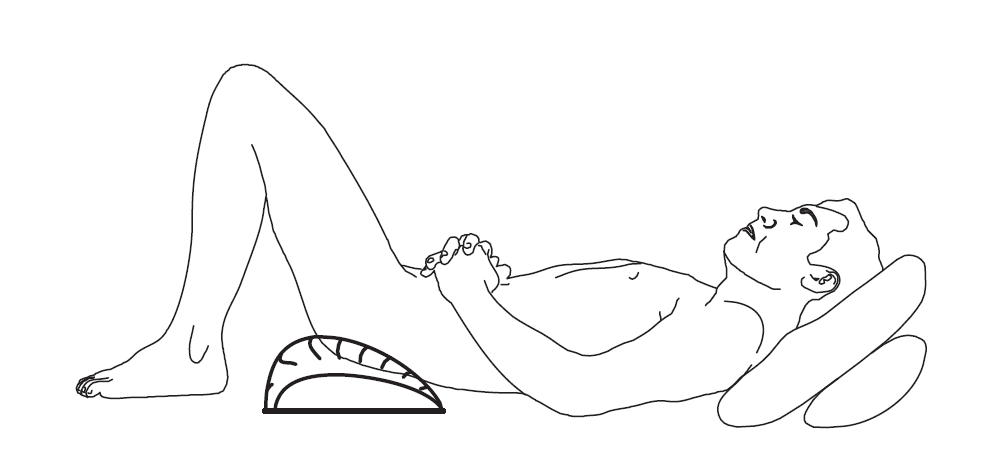 Serolatrac 14 Lumbosacral Alternate Position